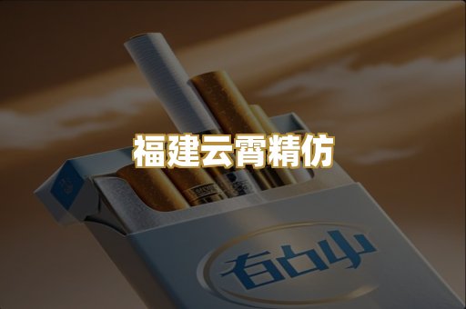 福建云霄精仿